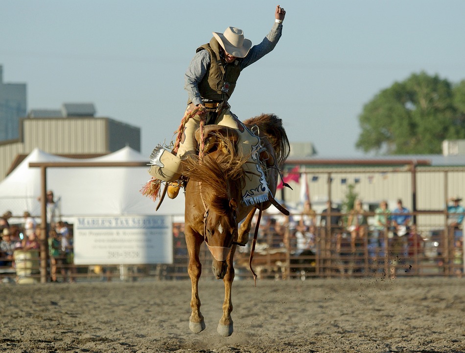 Joka päiväisen ratsastuksen ei tarvitse näyttää eikä tuntua rodeolta. Kuva © Pixabay